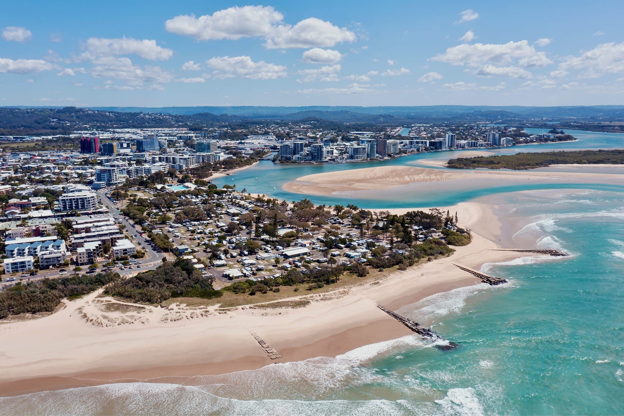 Maroochydore beech