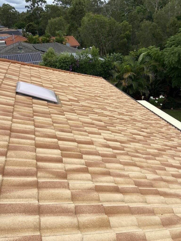 The Gap Roof Cleaning