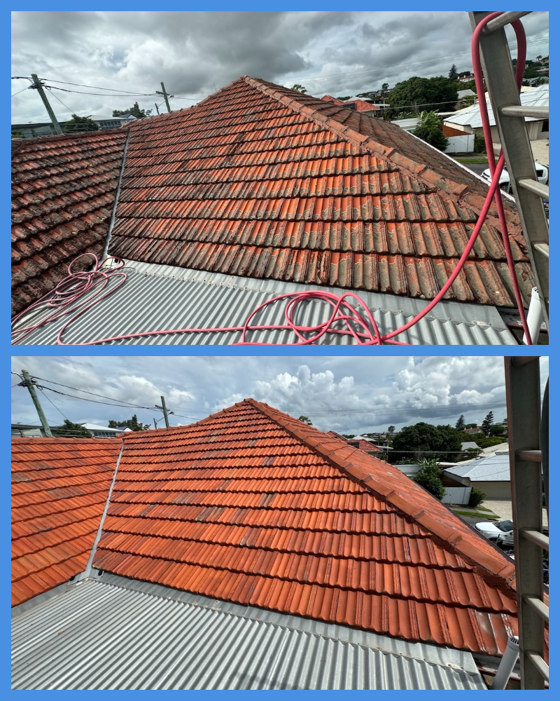 Wynnum tile roof before and after cleaning