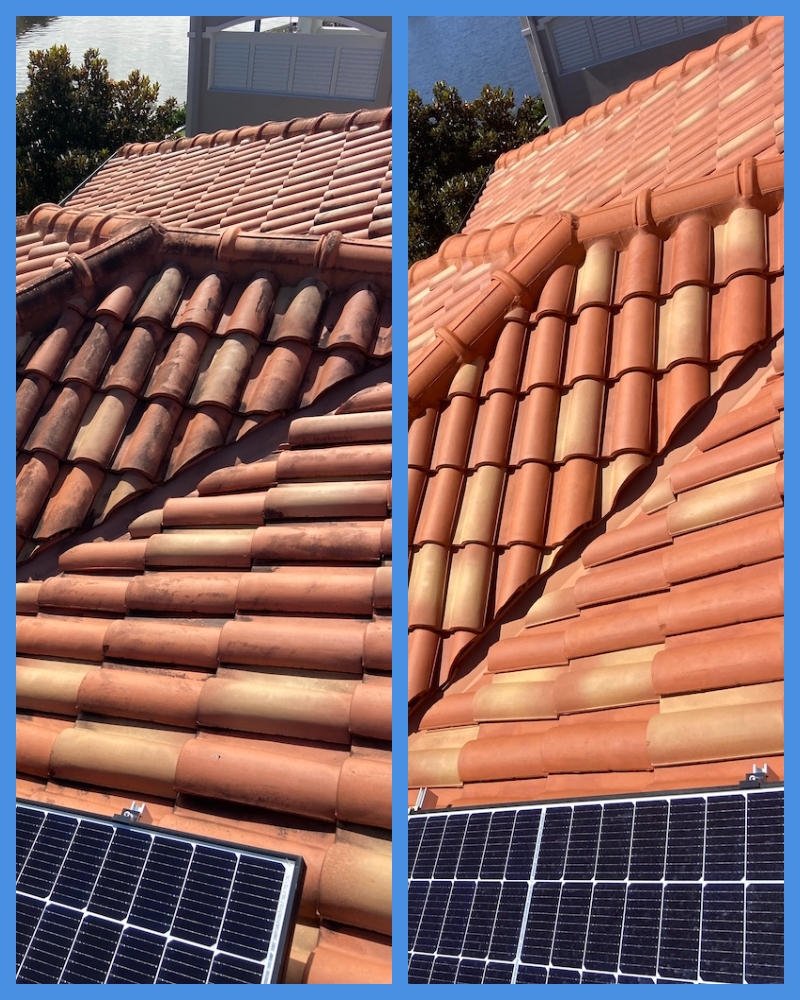 Red tile Logan roof before and after roof cleaning
