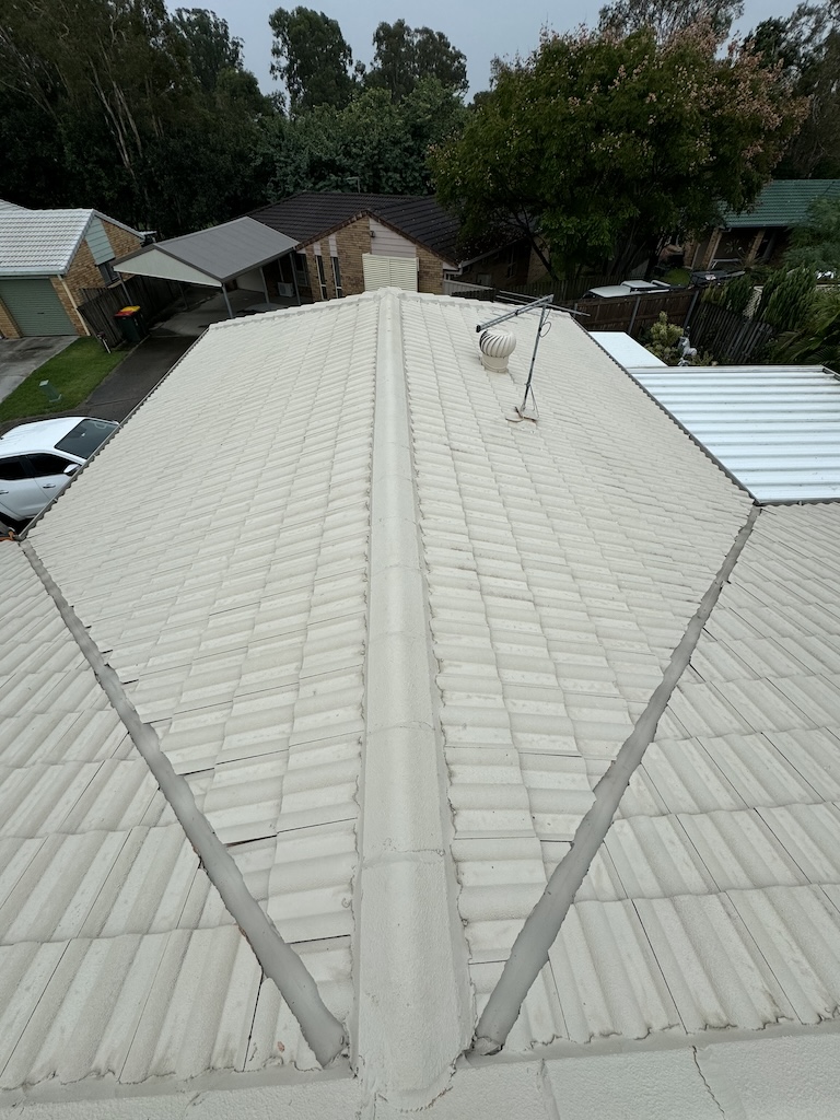 Cabirita after roof clean tin roof white