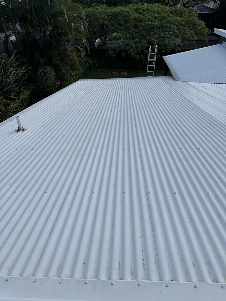 Cleaned Roof In Pelican Waters. White Tin With ladder leaning up against it at far end.