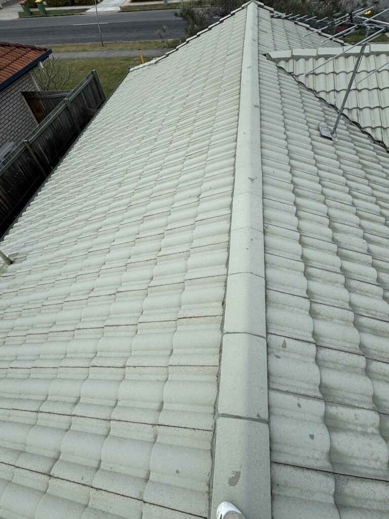 Daisy Hill Tile Roof After soft washing