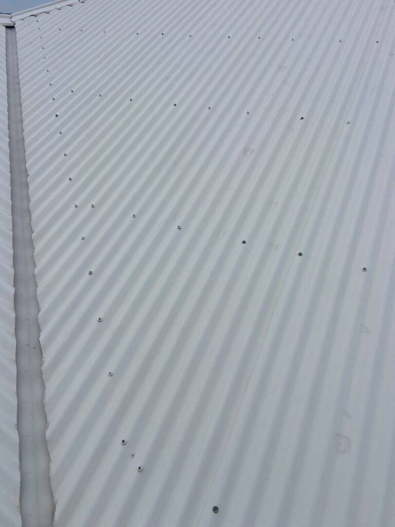 Tin roof in Tingalpa after to soft wash roof cleaning