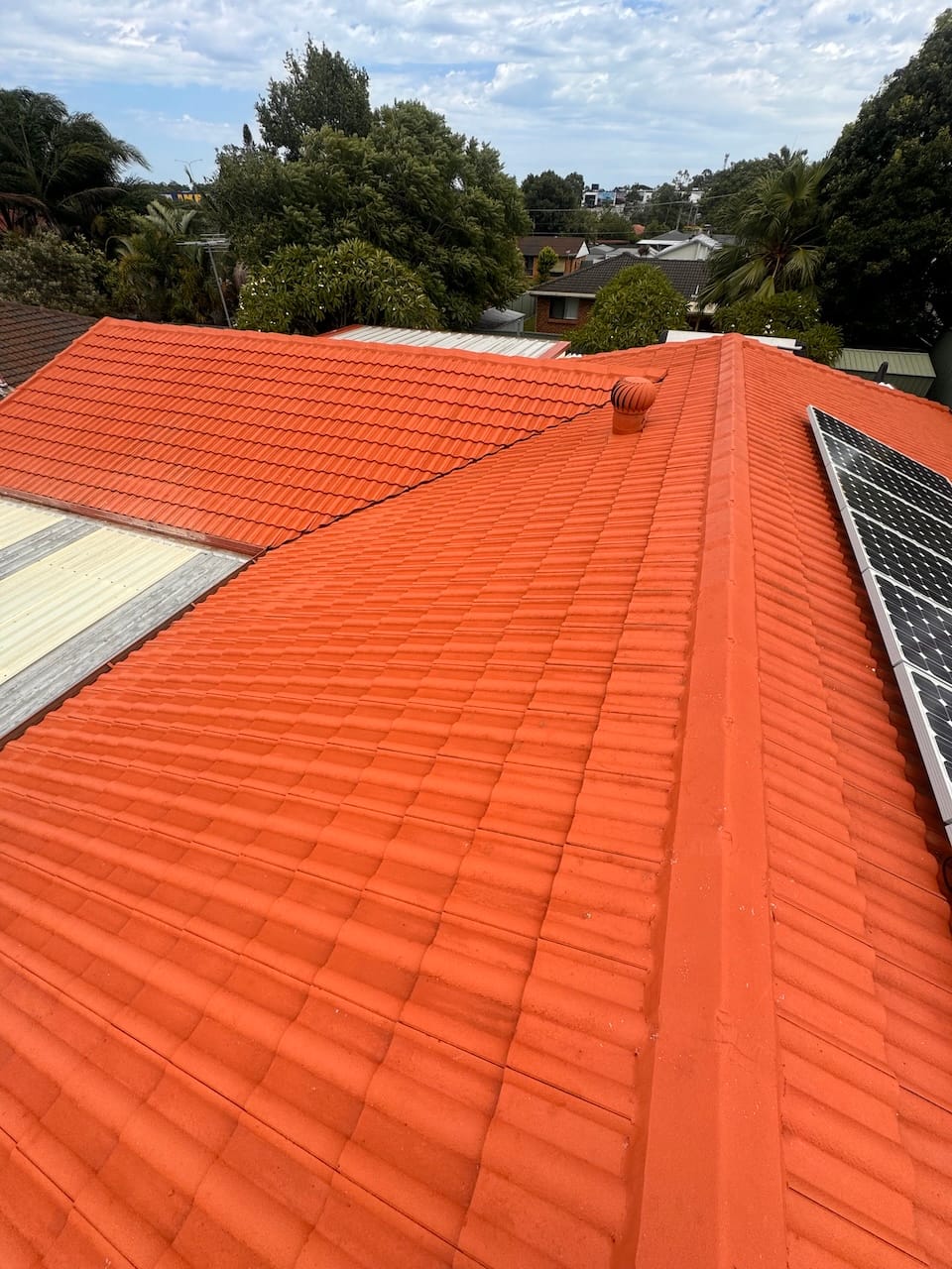 Yeronga Roof Cleaning