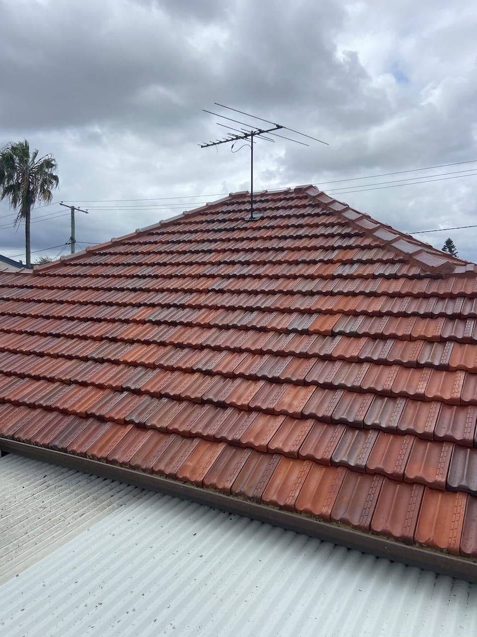 Yeronga Roof Cleaning