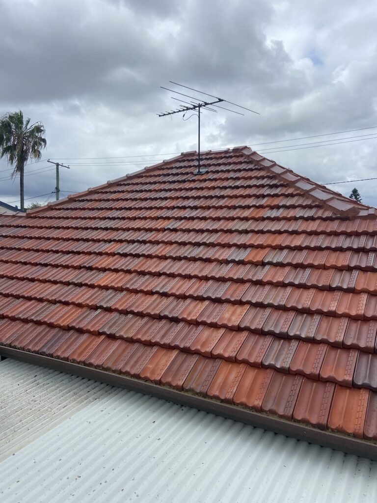 teracotta roof in Oxley after soft wash roof washing