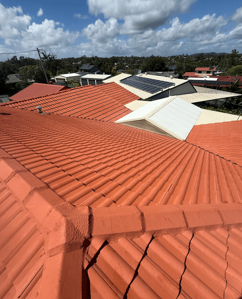 A tile roof in Brisbane after it has been soft wash roof cleaned