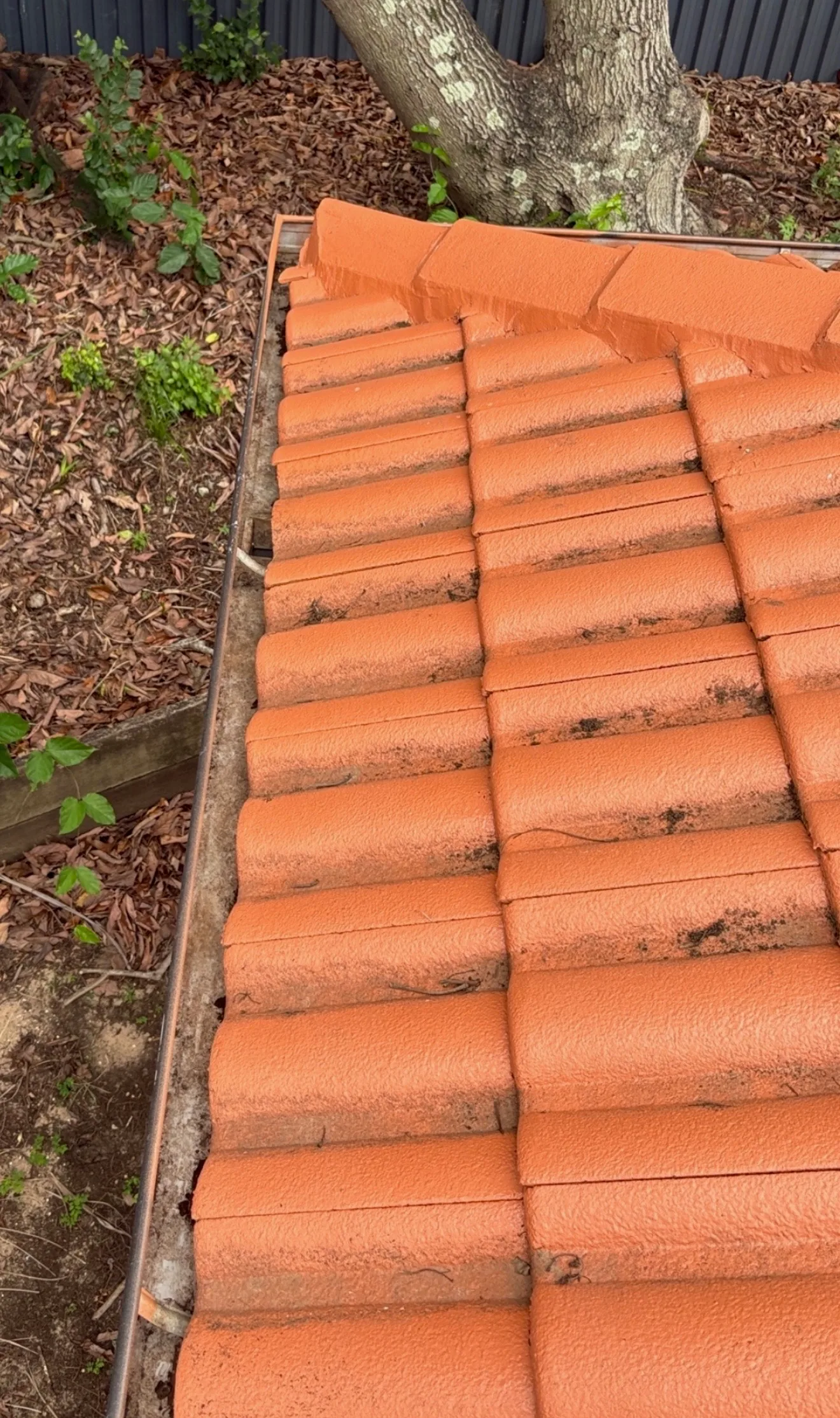 Professional Roof Cleaners Before