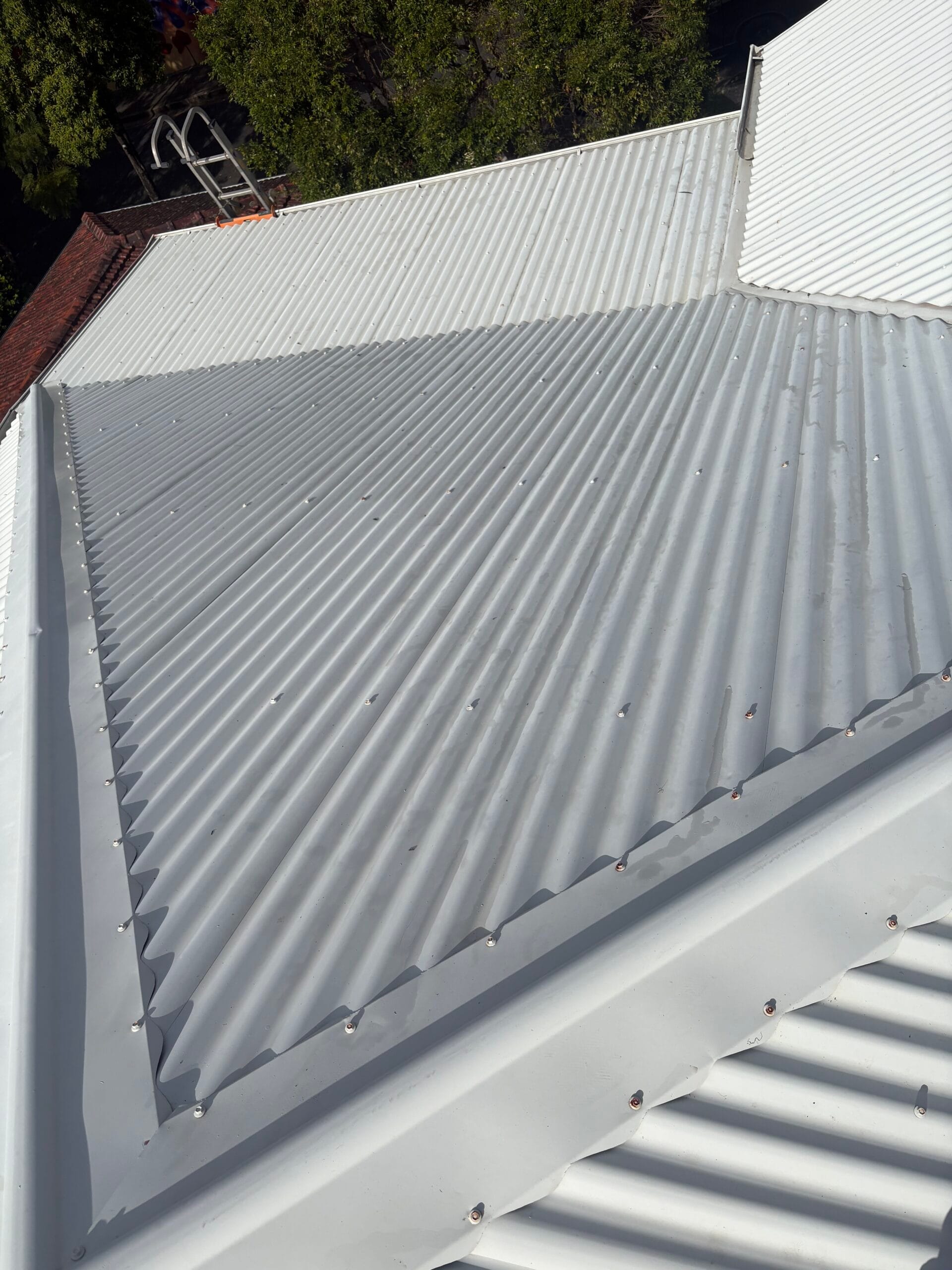 Ashgrove After